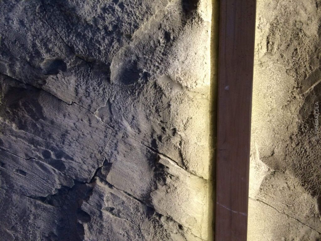 Architecture of the Cliff