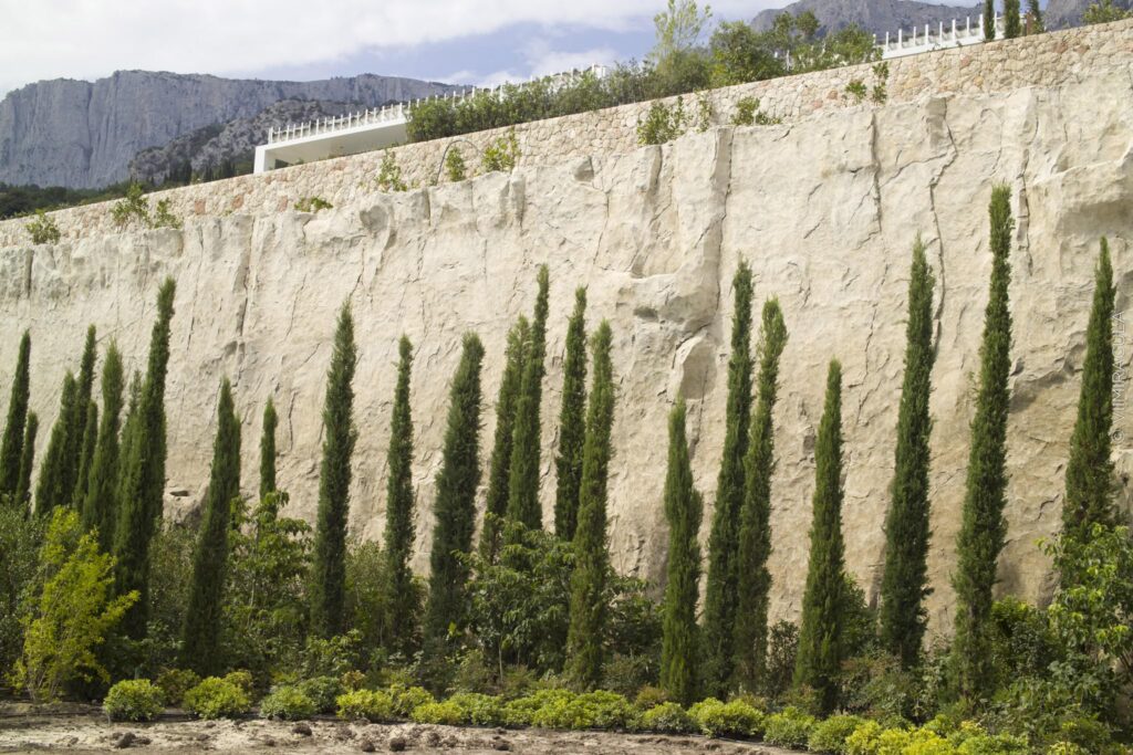 Architecture of the Cliff