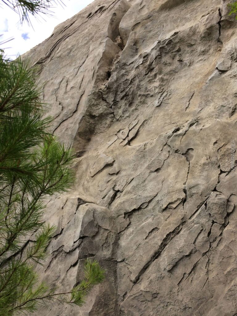 Architecture of the Cliff