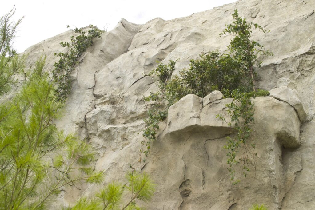 Architecture of the Cliff