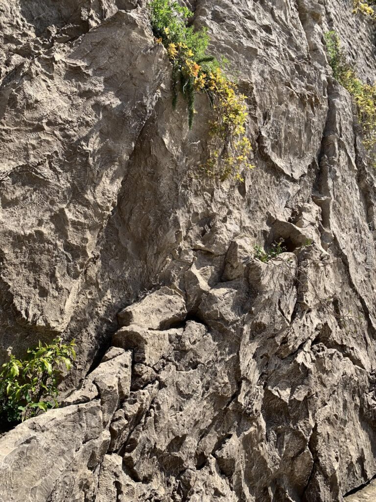 Architecture of the Cliff