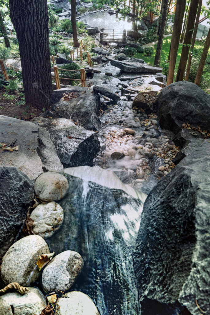 Terrain in Motion