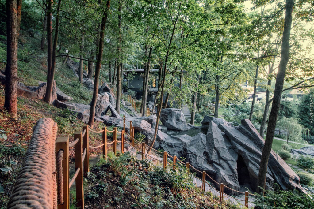 Terrain in Motion