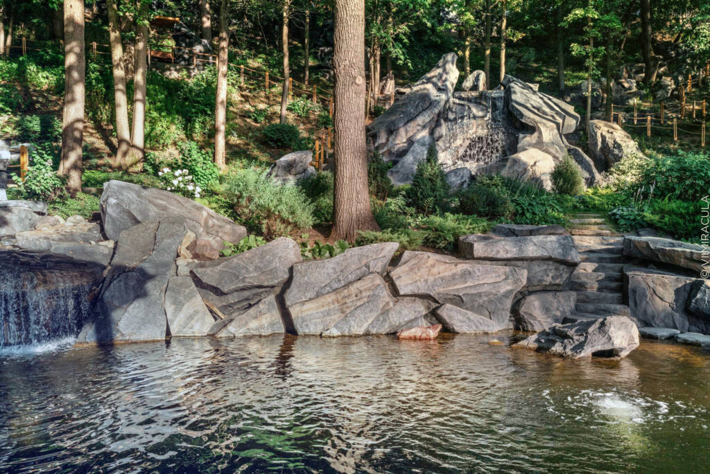 Terrain in Motion