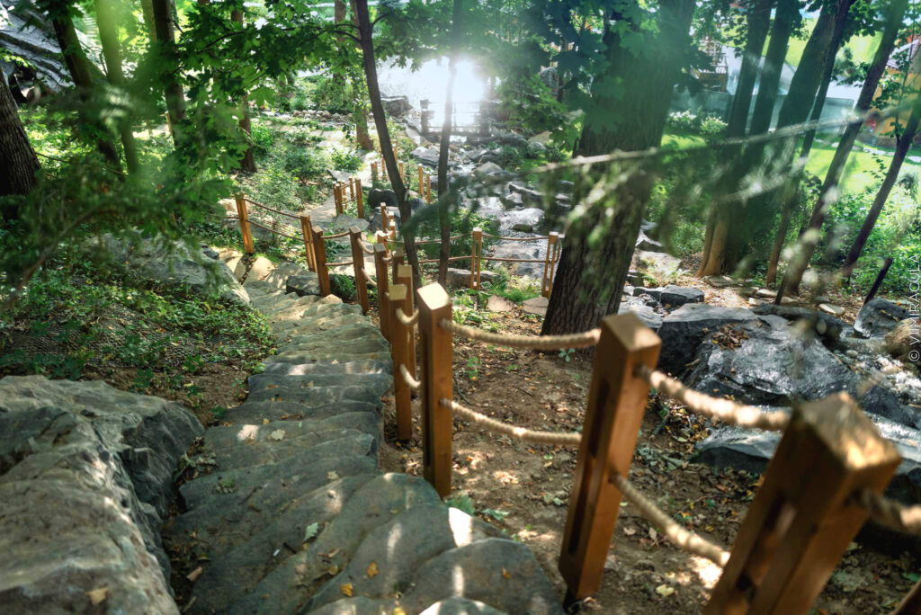 Terrain in Motion