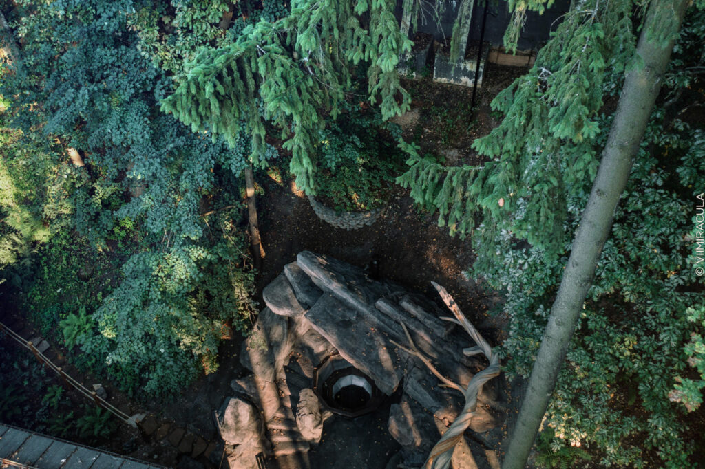 Terrain in Motion