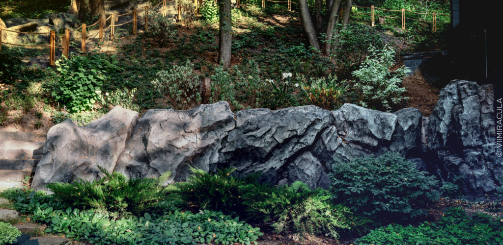 Terrain in Motion